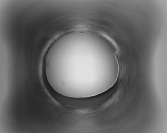X0000099991477200805231034