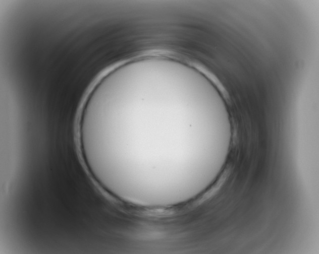 X0000099991478200805231034