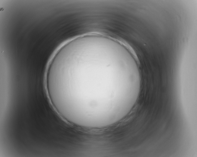 X0000099991480200805231033