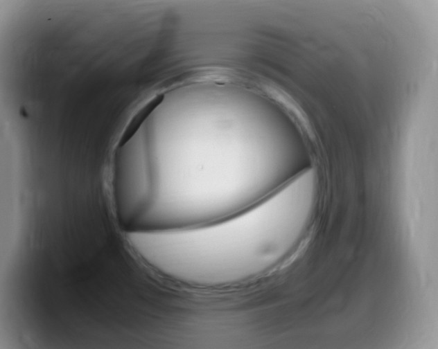 X0000099991481200805231033