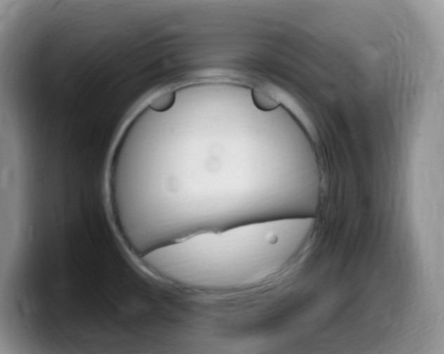 X0000099991482200805231033