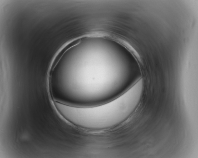 X0000099991484200805231033