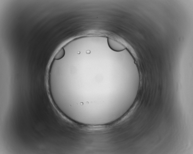 X0000099991486200805231033
