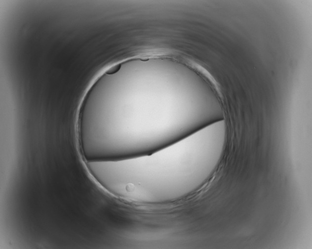 X0000099991487200805231033