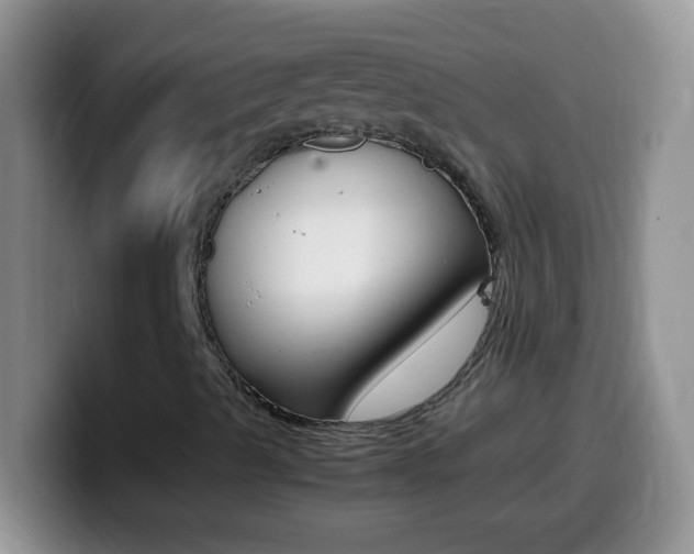 X0000099991489200805231033