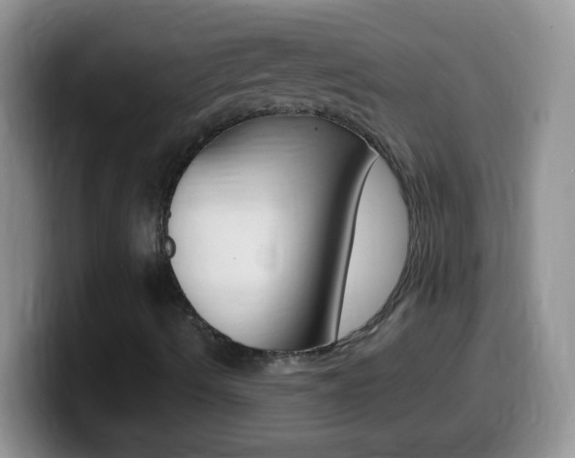 X0000099991490200805231033
