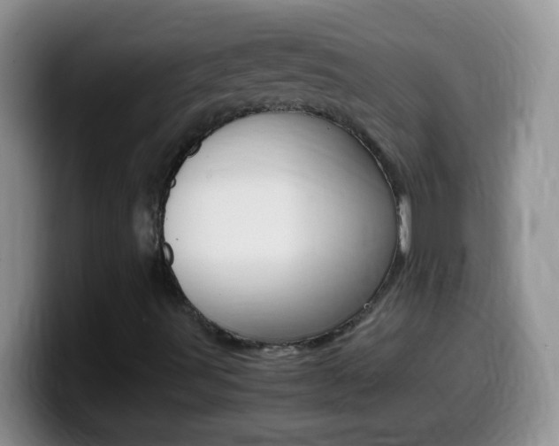 X0000099991491200805231033