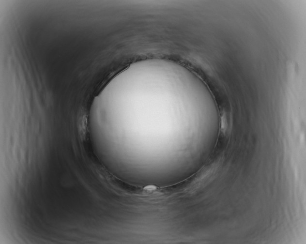 X0000099991492200805231033