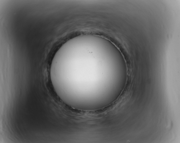 X0000099991493200805231033