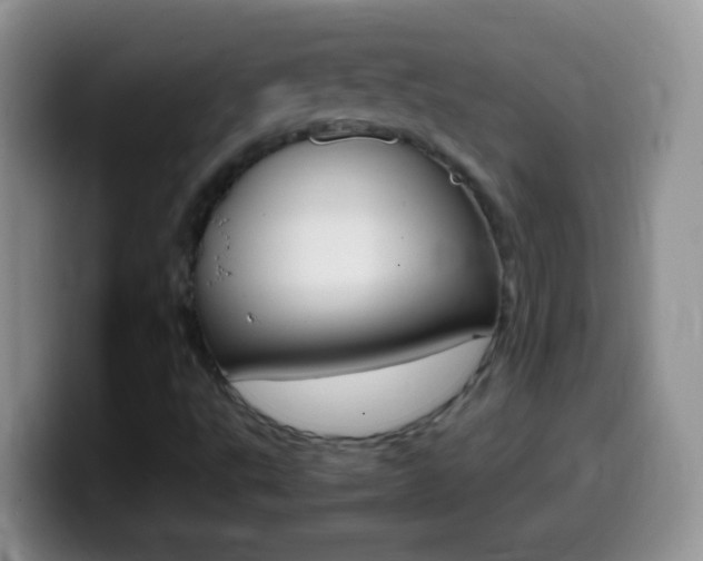 X0000099991495200805231033