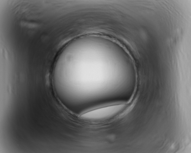X0000099991497200805231033