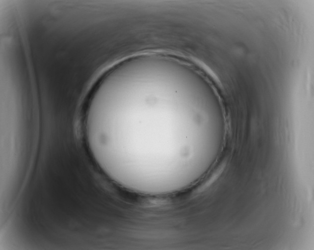 X0000099991501200805231033