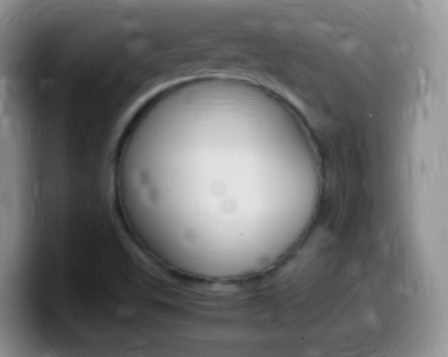 X0000099991503200805231033