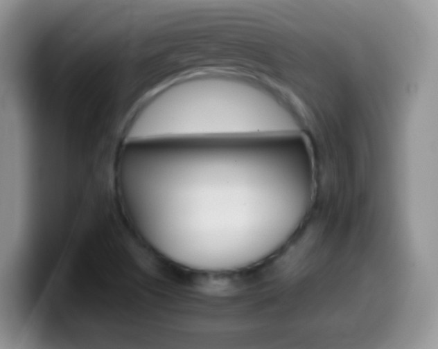 X0000099991505200805231033