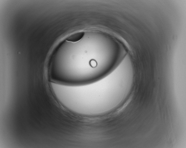 X0000099991506200805231033