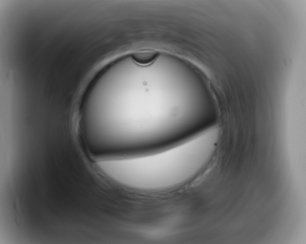 X0000099991507200805231033