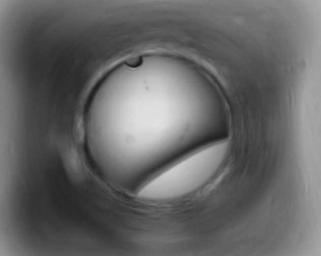 X0000099991509200805231033