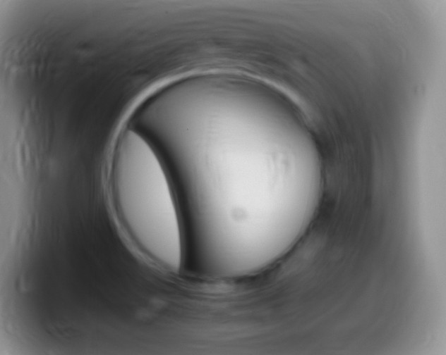 X0000099991515200805231033