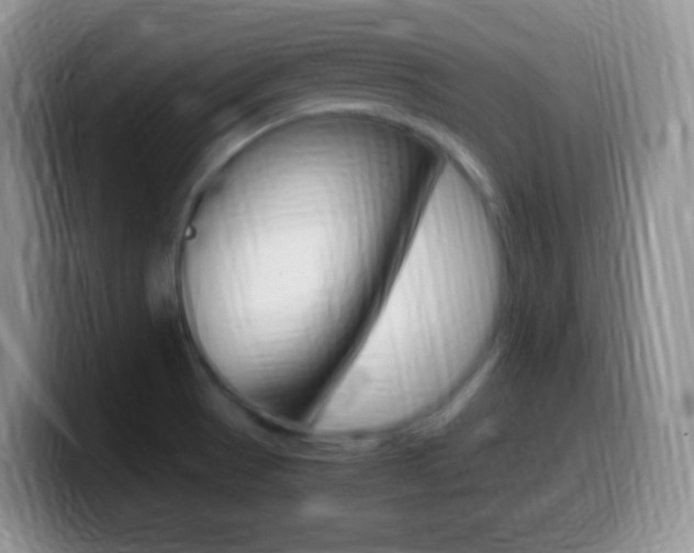 X0000099991521200805231033
