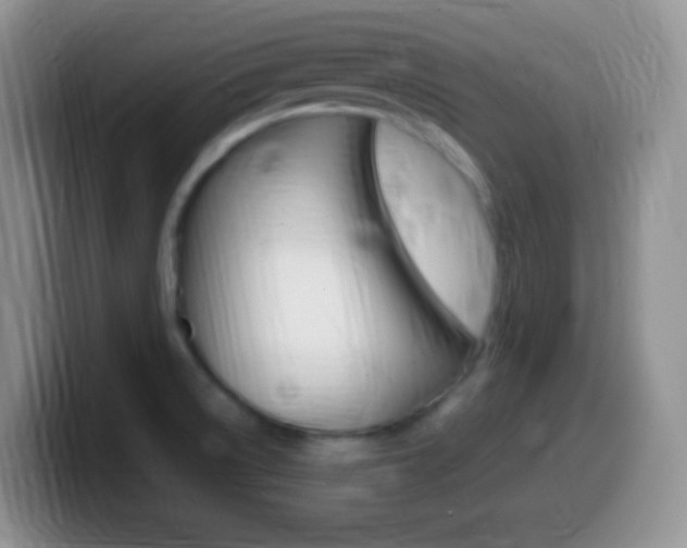 X0000099991522200805231033