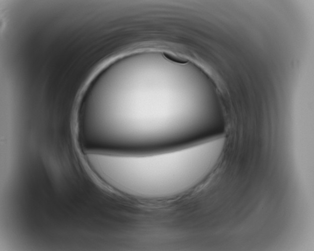 X0000099991523200805231033