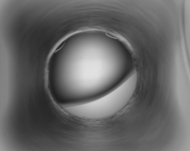 X0000099991524200805231033