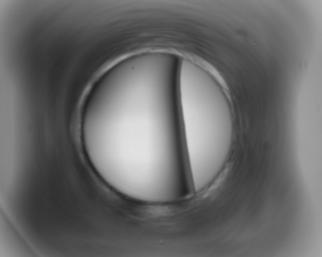 X0000099991525200805231033