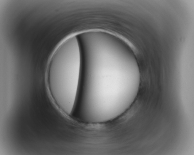 X0000099991526200805231033