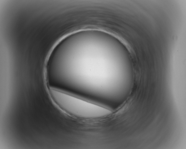 X0000099991527200805231033