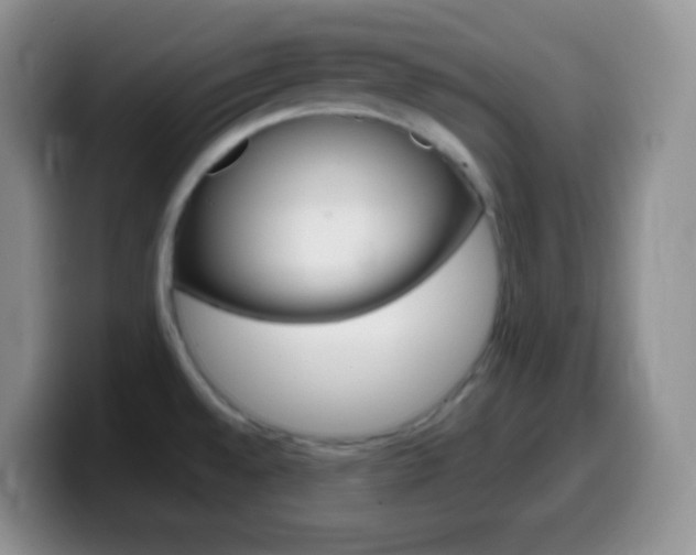 X0000099991528200805231033