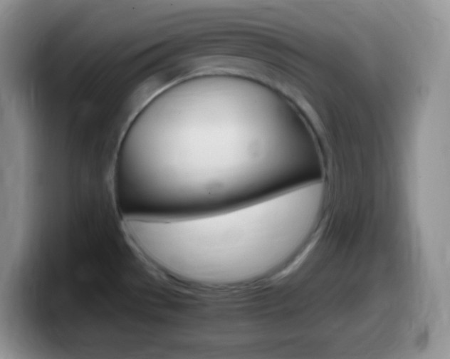 X0000099991529200805231033
