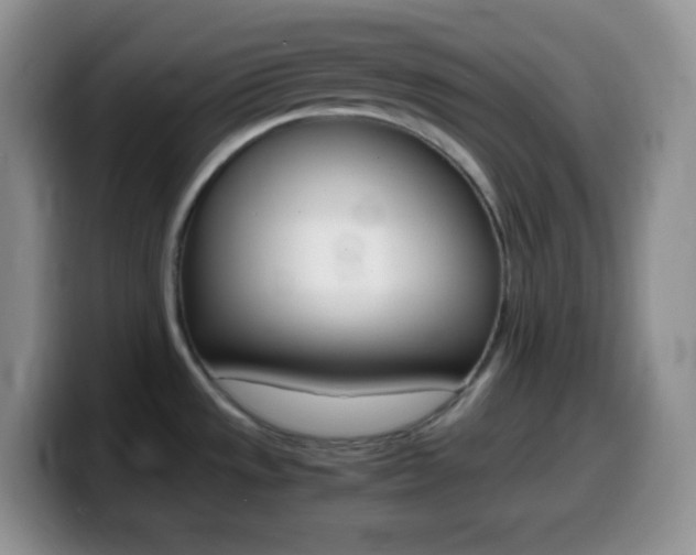 X0000099991533200805231033