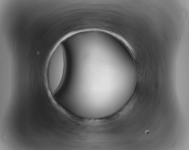 X0000099991534200805231033