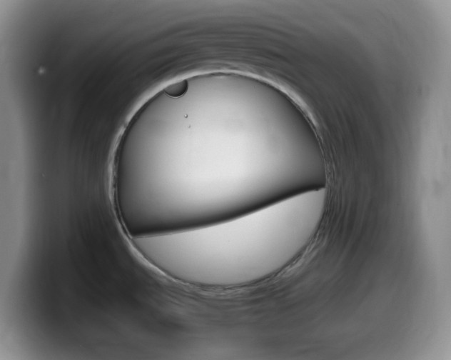 X0000099991535200805231033