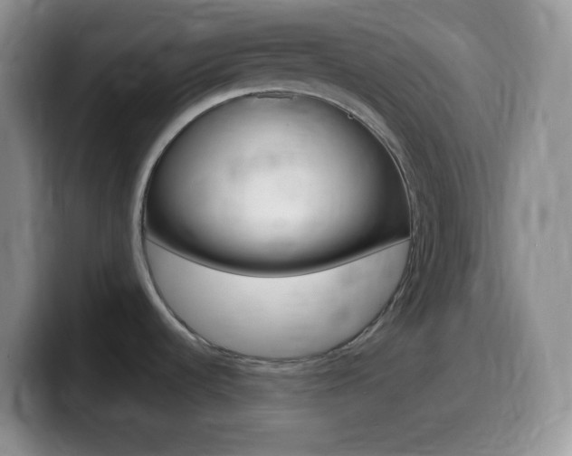 X0000099991536200805231033