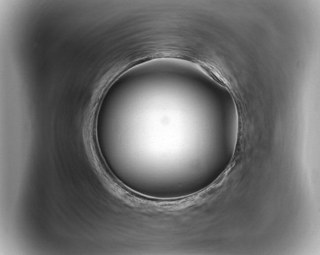 X0000099990001200805231502