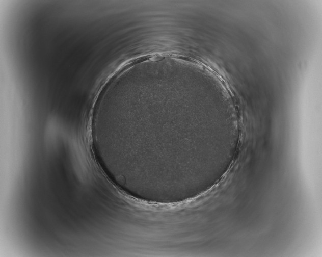 X0000099990002200805231502