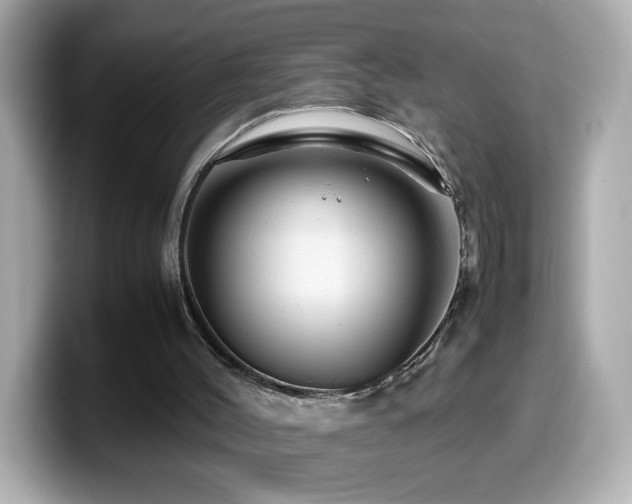 X0000099990004200805231502