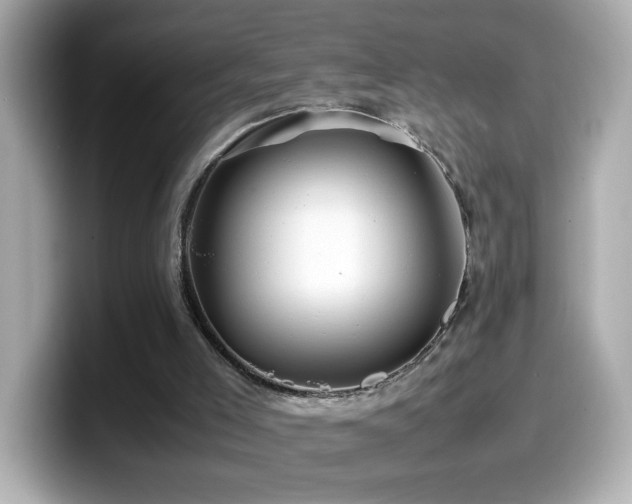 X0000099990005200805231502