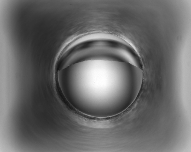 X0000099990008200805231502
