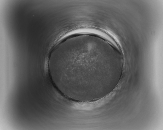 X0000099990009200805231502