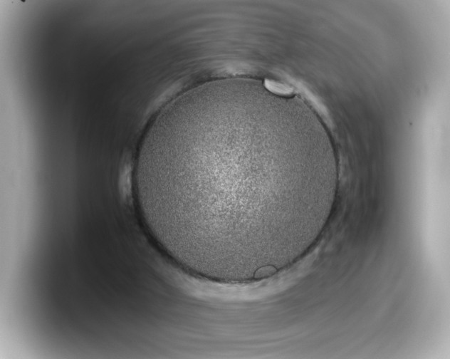 X0000099990010200805231502