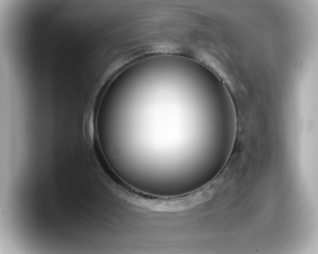 X0000099990011200805231502