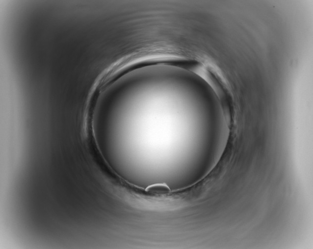 X0000099990012200805231502
