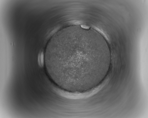X0000099990014200805231502