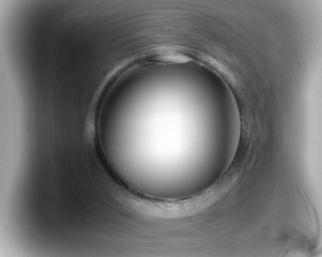 X0000099990015200805231502