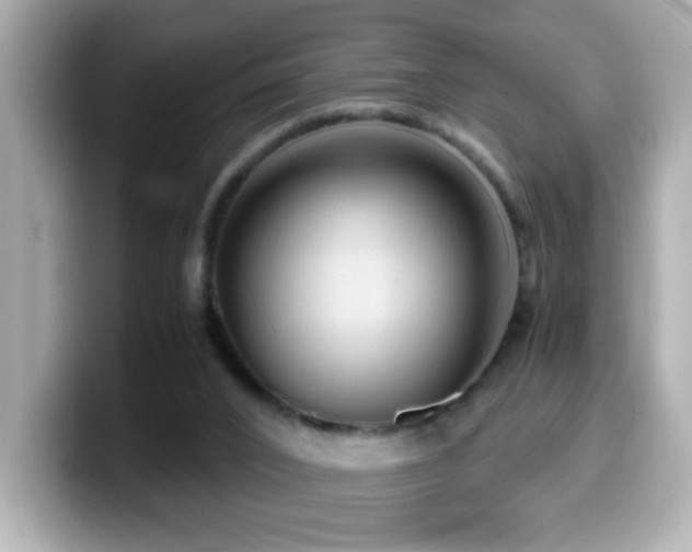 X0000099990016200805231502