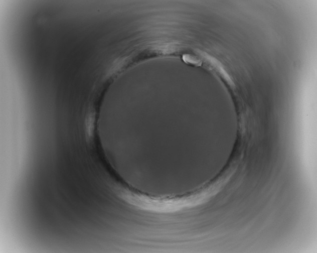 X0000099990018200805231502