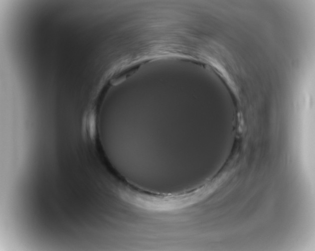X0000099990019200805231502