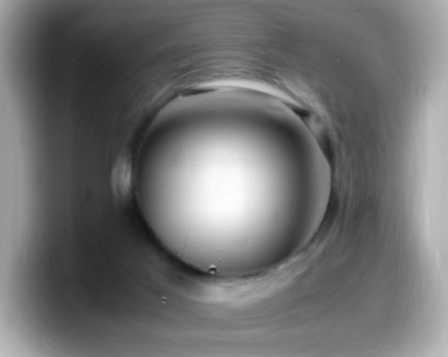 X0000099990021200805231501